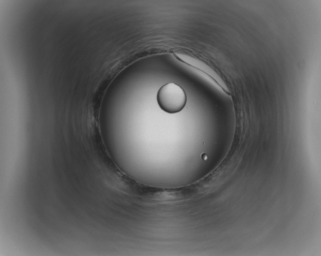 X0000110770320200906221147