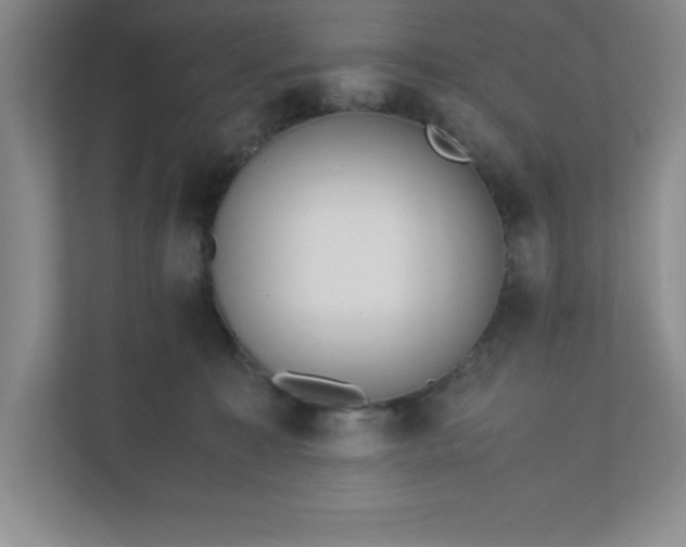 X0000110770323200906221147