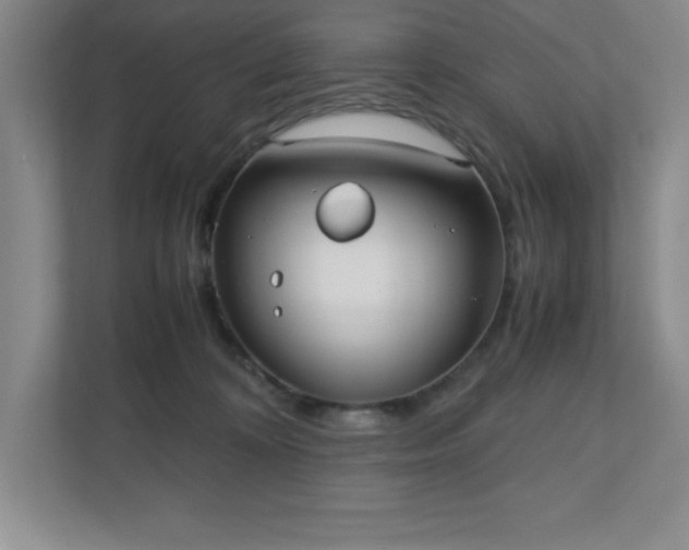 X0000110770324200906221147