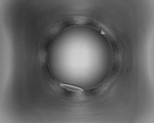 X0000110770325200906221147