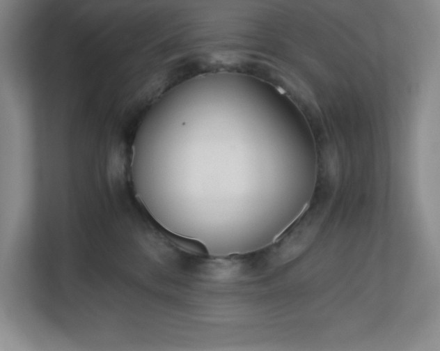 X0000110770328200906221147