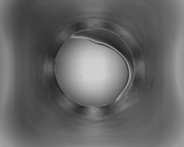 X0000110770333200906221147