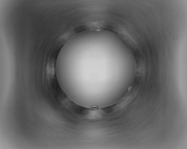 X0000110770334200906221147