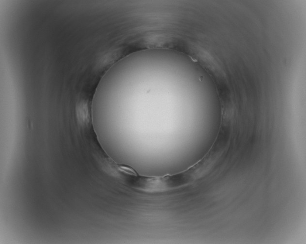 X0000110770335200906221147