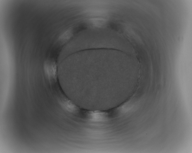 X0000110770336200906221147