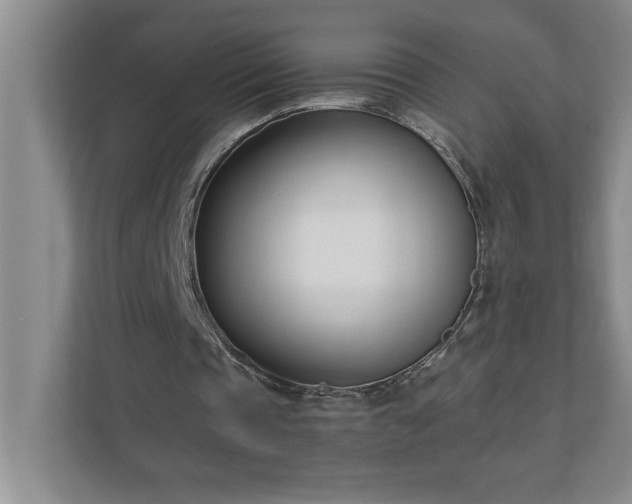 X0000110770337200906221146