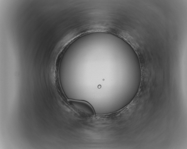 X0000110770338200906221146