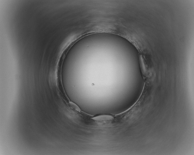 X0000110770340200906221146