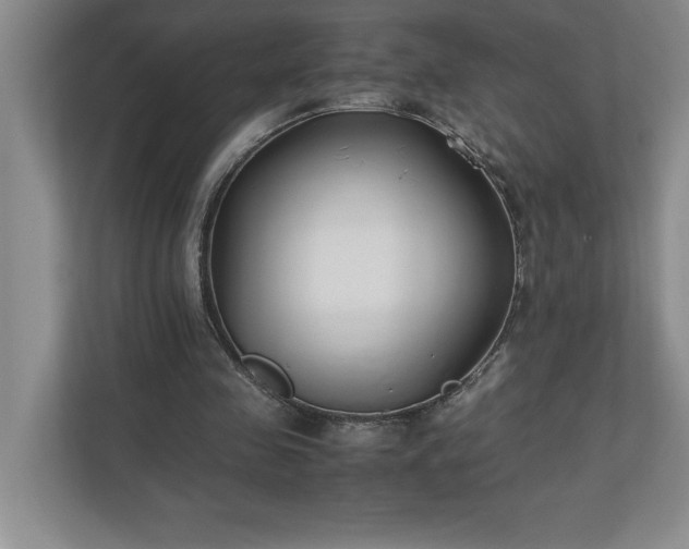 X0000110770341200906221146