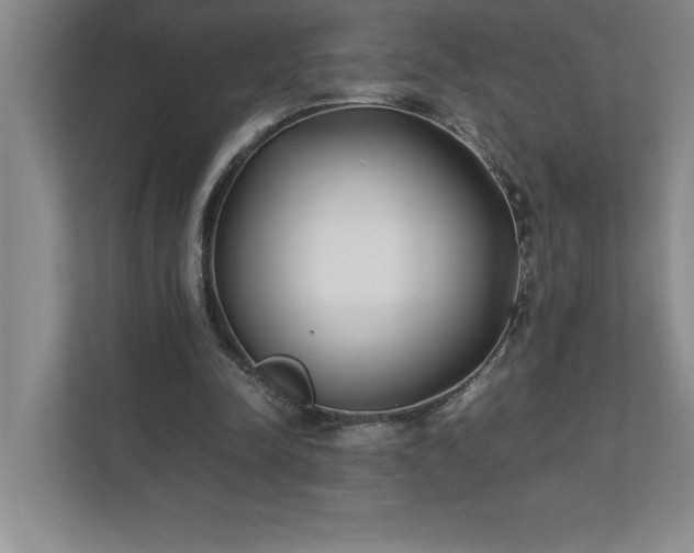 X0000110770342200906221146