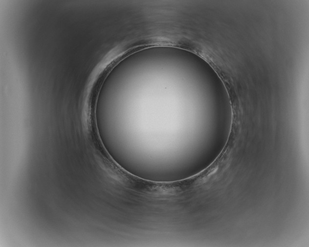 X0000110770343200906221146