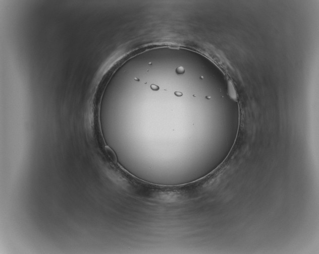 X0000110770344200906221146