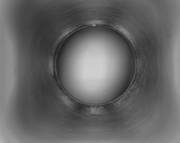 X0000110770345200906221146