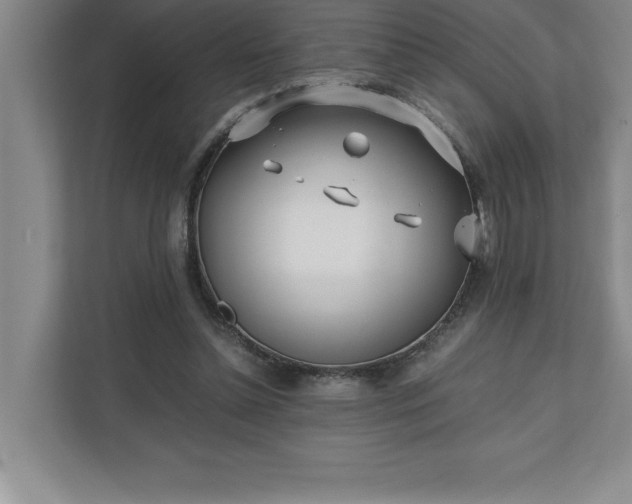 X0000110770348200906221146