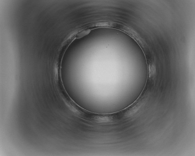 X0000110770349200906221146