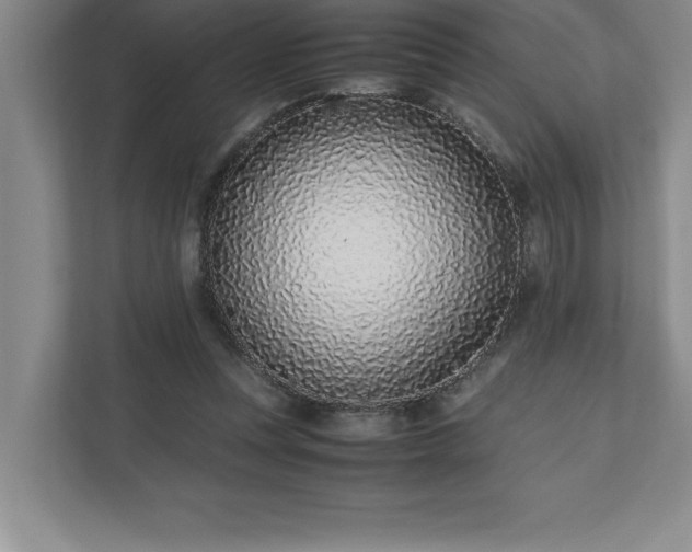 X0000110770351200906221146