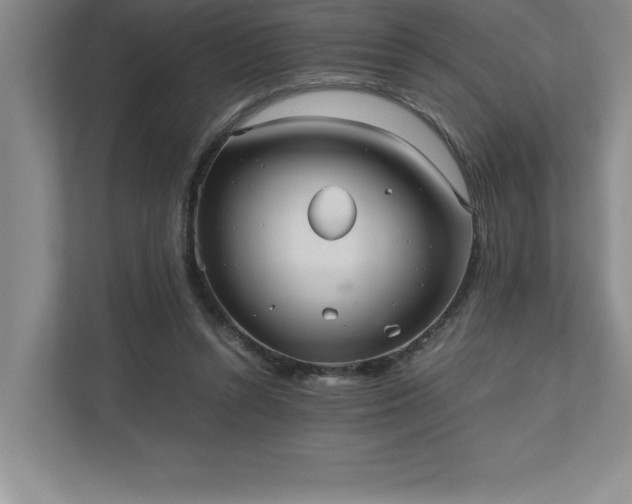 X0000110770352200906221146