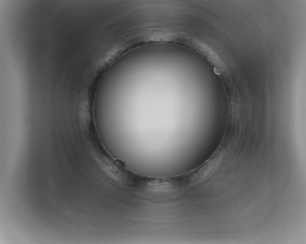 X0000110770354200906221147