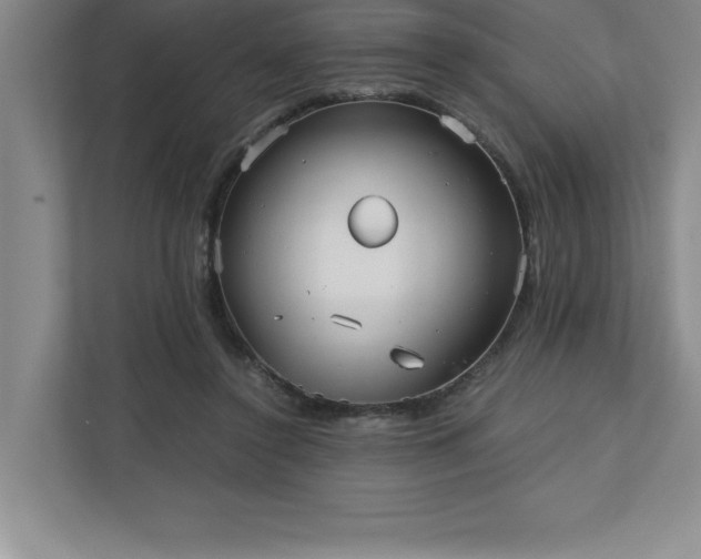 X0000110770356200906221147