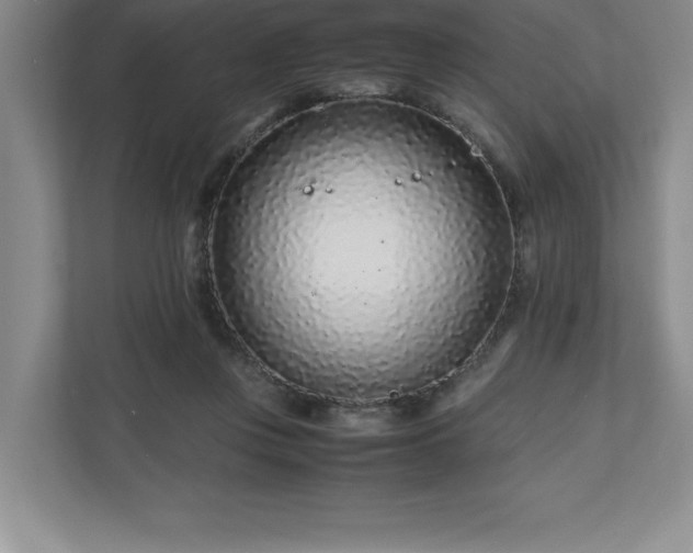 X0000110770359200906221147