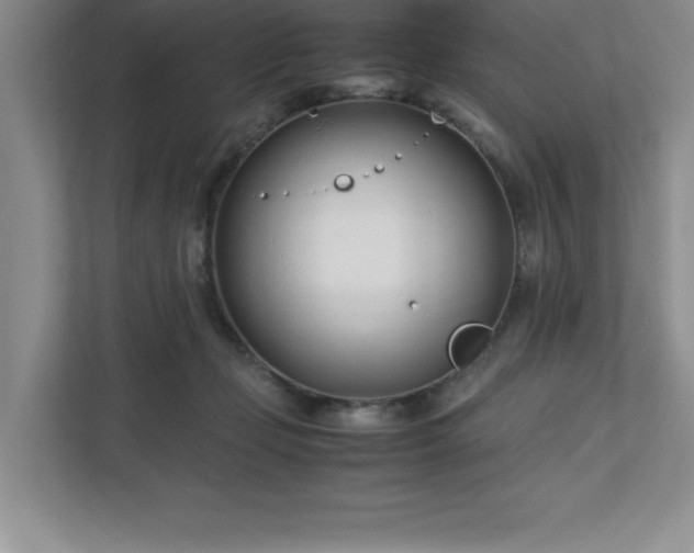 X0000110770365200906221147