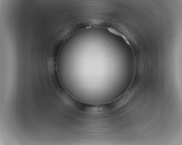 X0000110770366200906221147