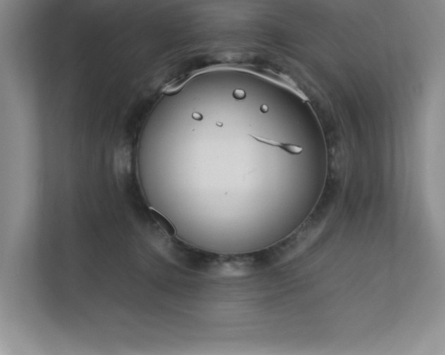 X0000110770368200906221147