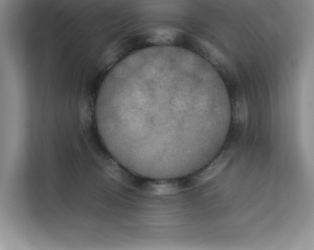 X0000110770370200906221147