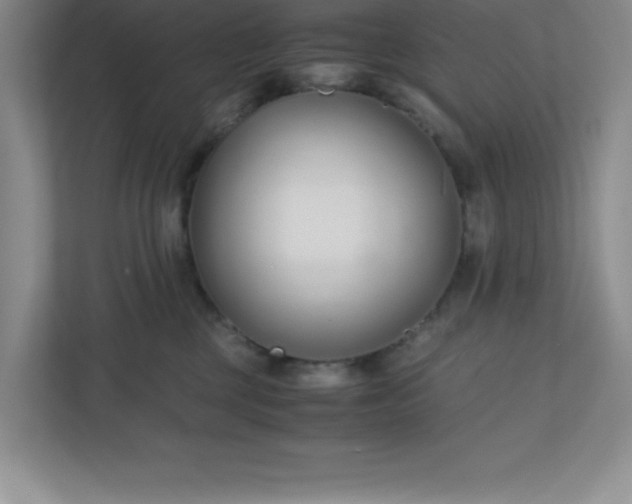 X0000110770377200906221147