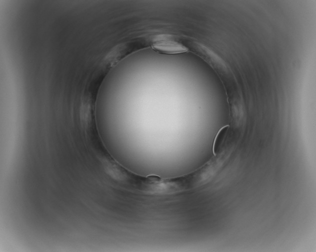 X0000110770379200906221147