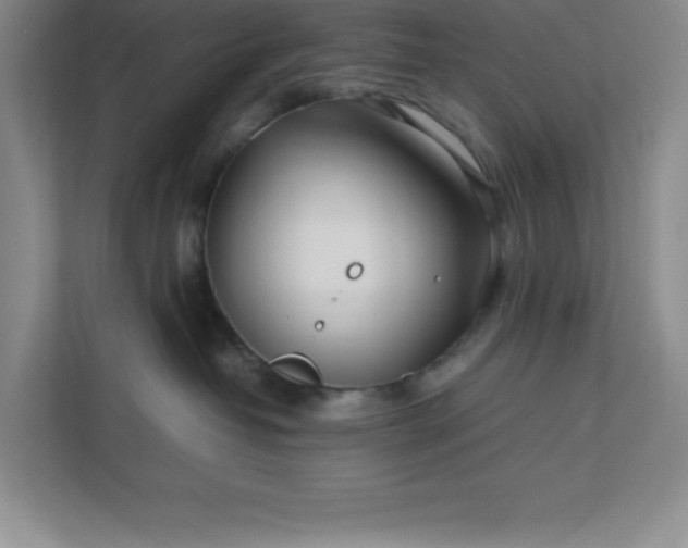 X0000110770382200906221147