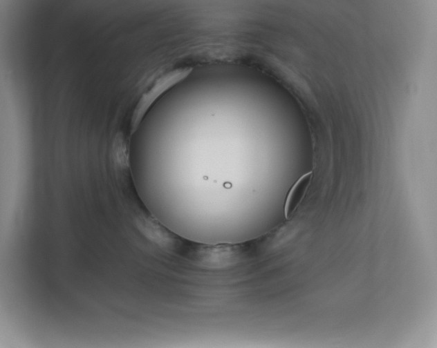 X0000110770384200906221147