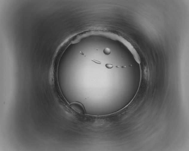 X0000110770388200906221146