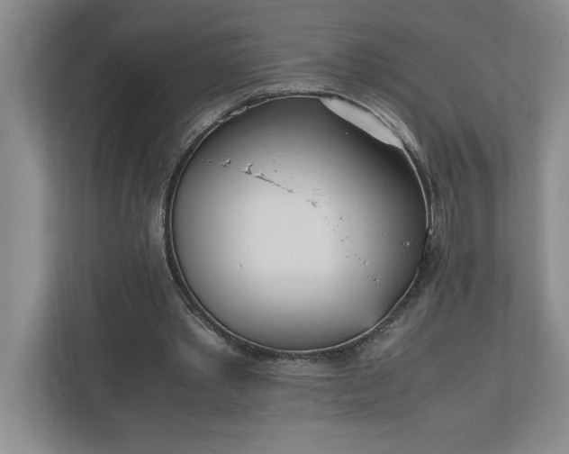 X0000110770389200906221146