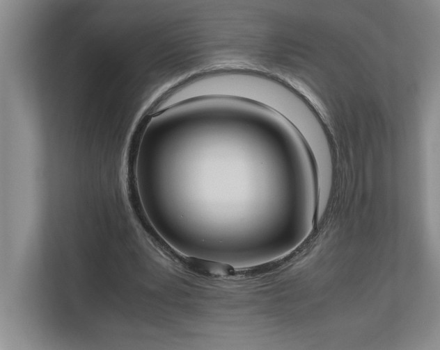 X0000110770391200906221146