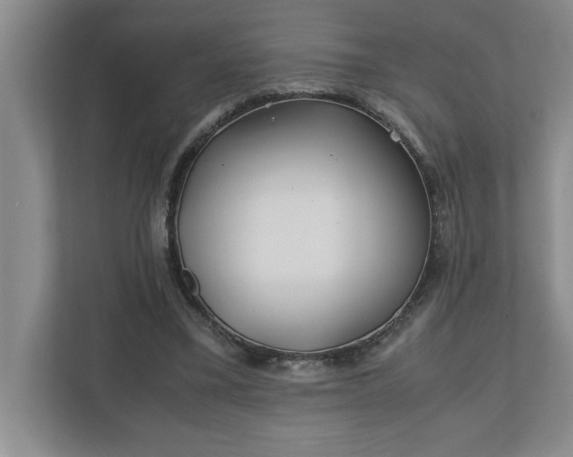 X0000110770395200906221146