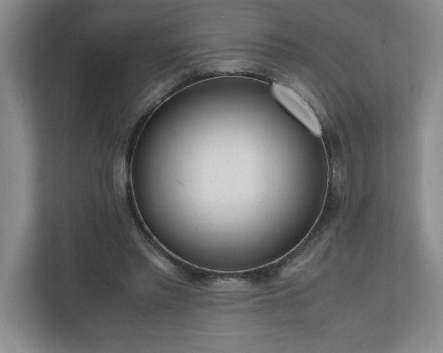 X0000110770397200906221146