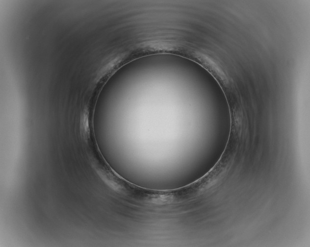 X0000110770398200906221146