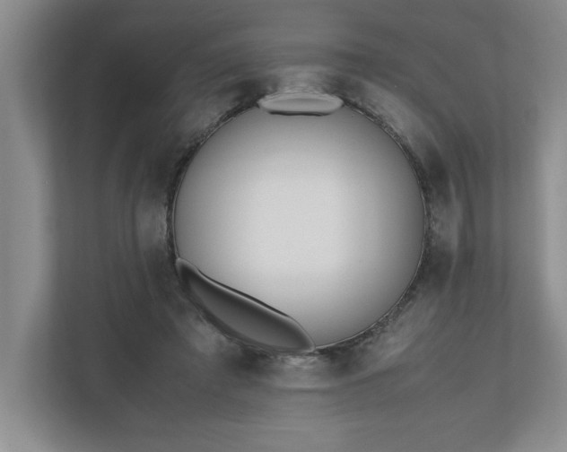 X0000110770401200906221146