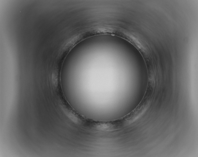 X0000110770402200906221146