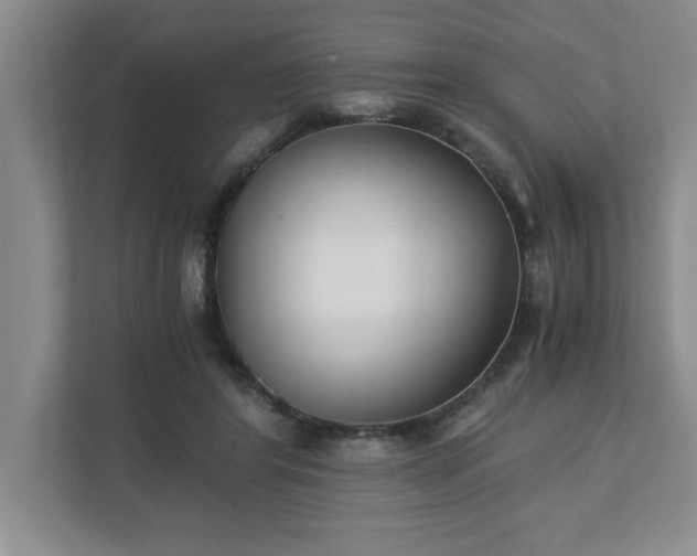 X0000110770404200906221146