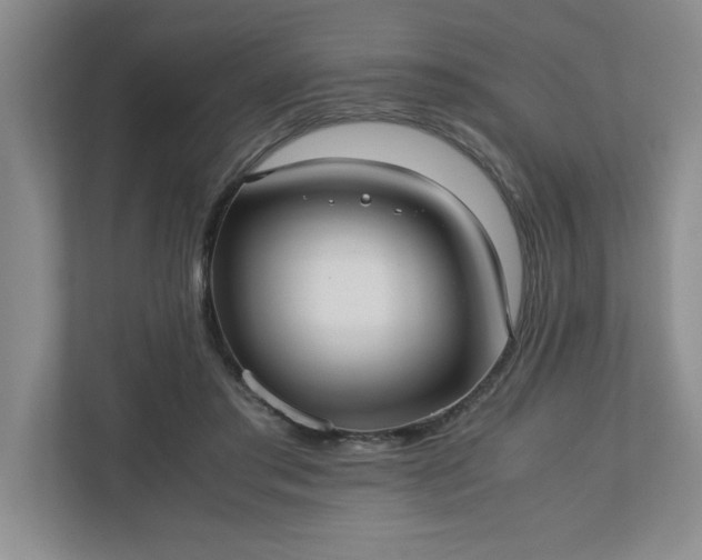 X0000110770405200906221146