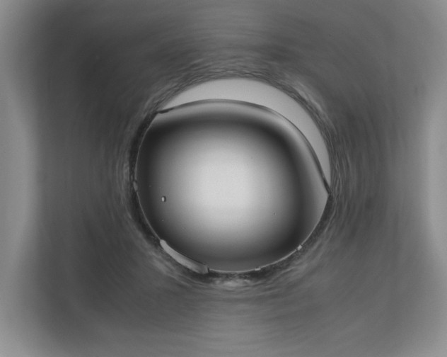 X0000110770407200906221146