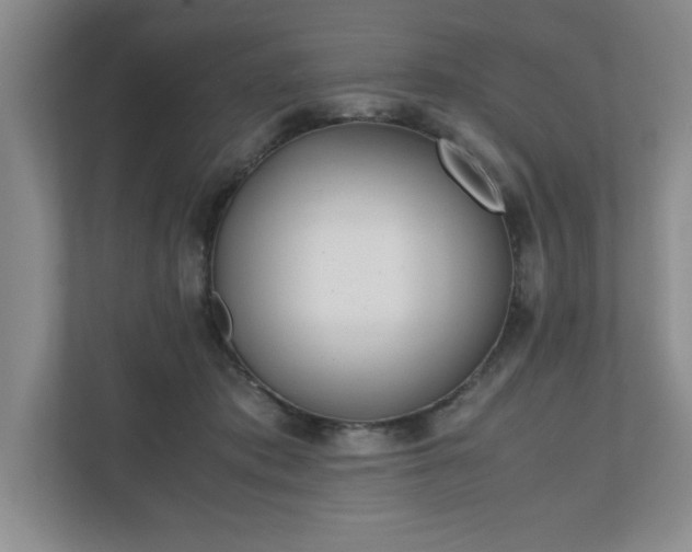 X0000110770413200906221146