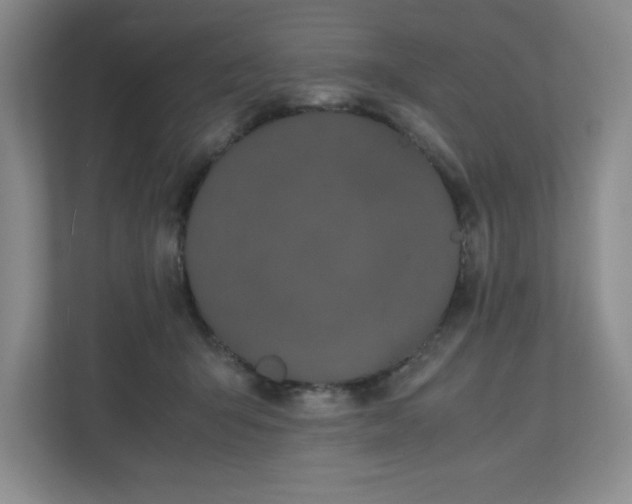 X0000110770415200906221146