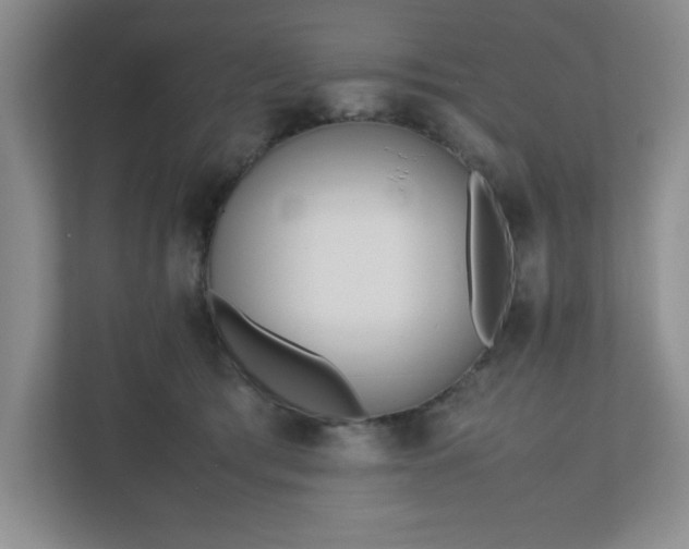 X0000110770417200906221146