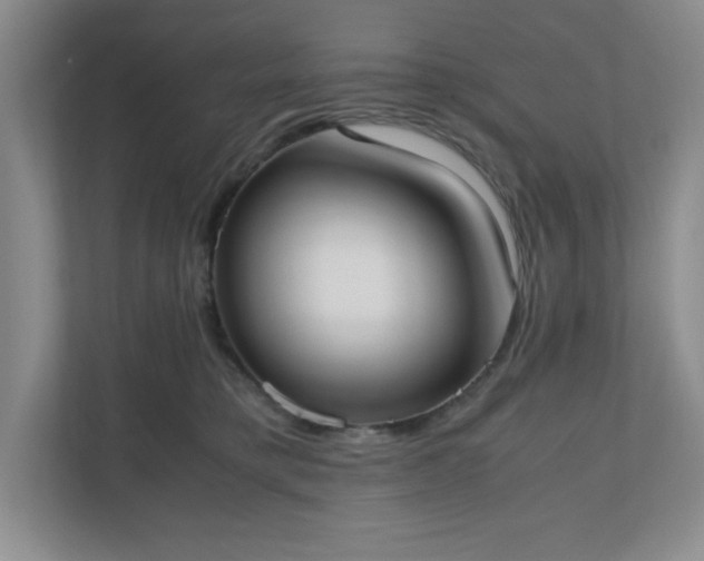 X0000110770421200906221146