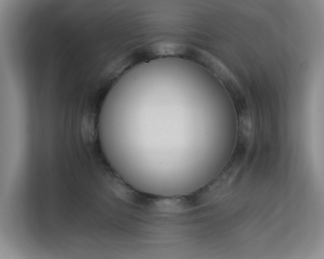 X0000110770422200906221146