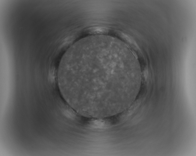 X0000110770423200906221146