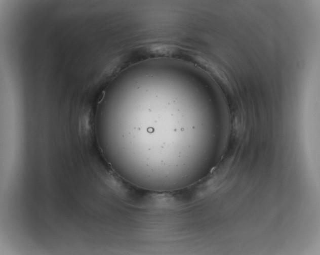 X0000110770424200906221146